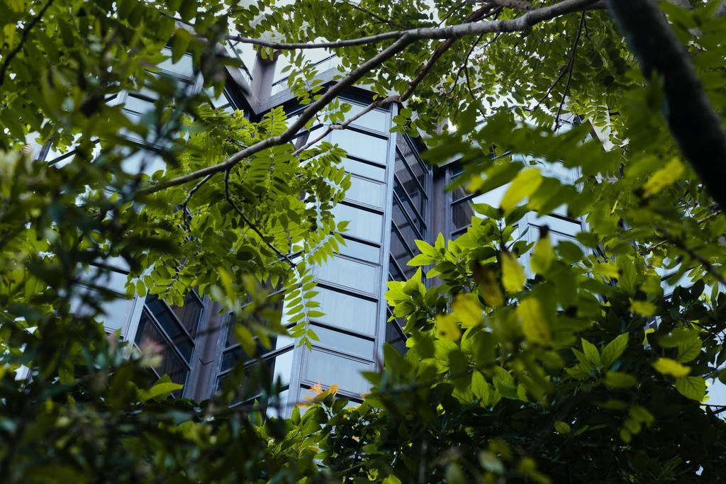 Primacy Apart Hotel Mar del Plata Buitenkant foto